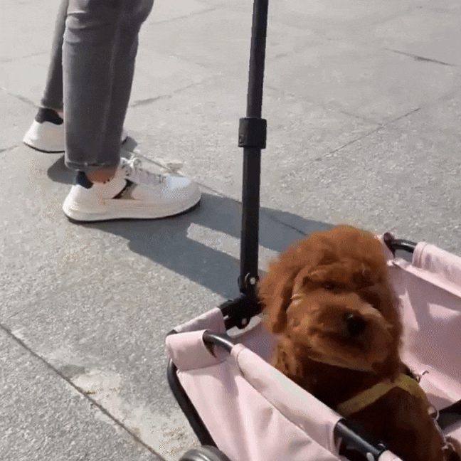 PawCruze - Mini buggy voor huisdieren