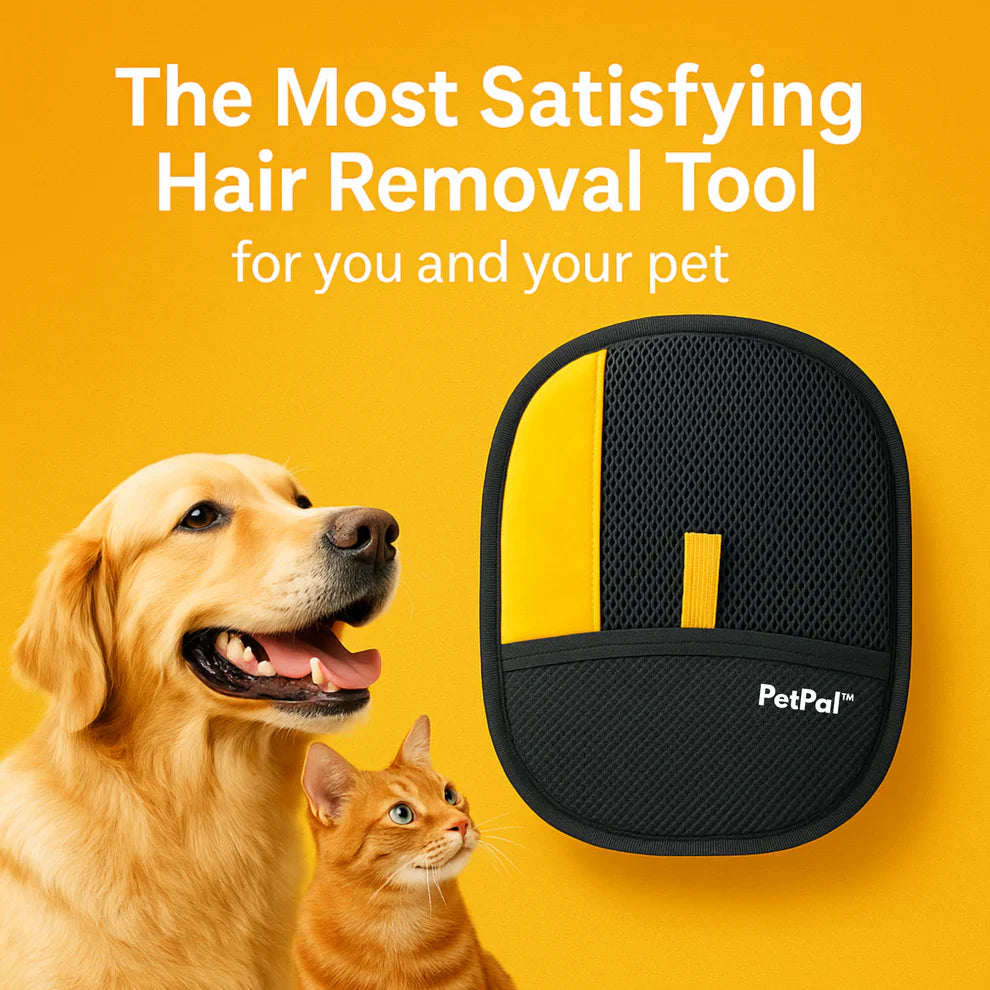 🐾 PetPal™ - #1 Best-Selling Pet Cleaning Glove