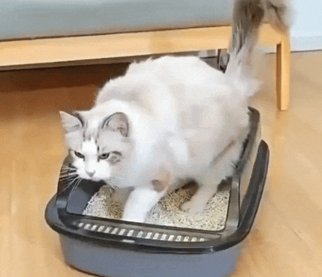 TidyTail - Kattenbak