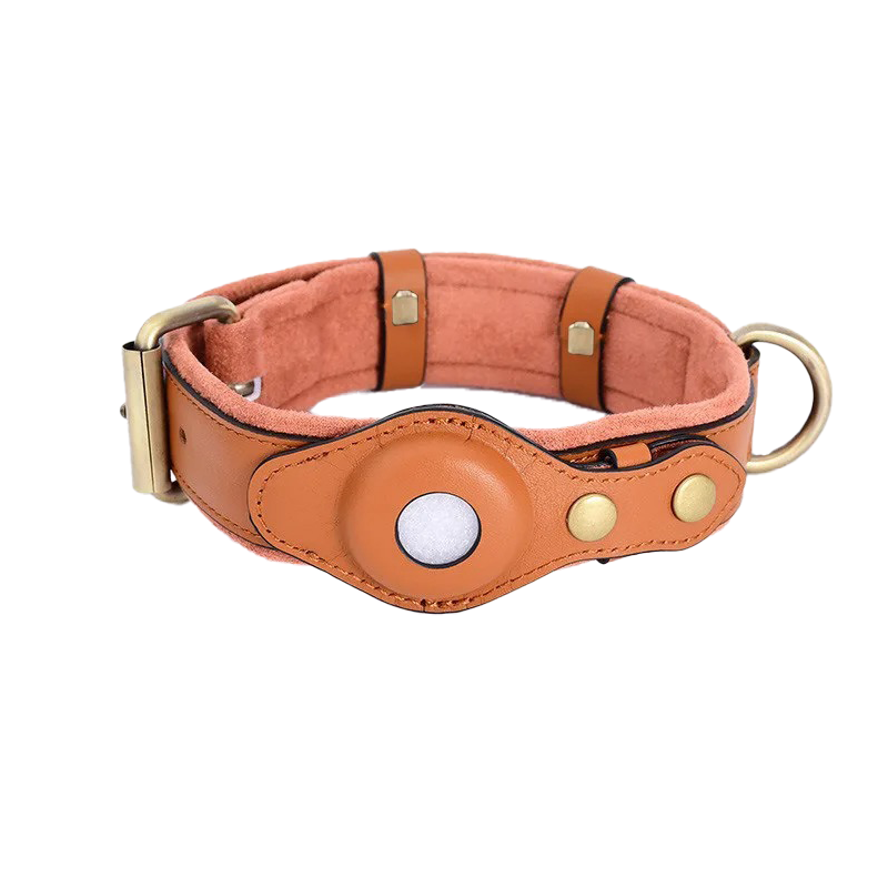 TrackPaws ™ - AirTag hondenhalsband