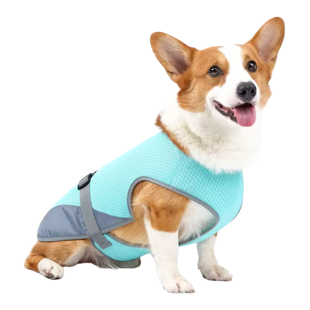 FrostVest - Honden koelvest