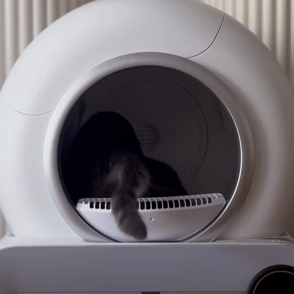 PawHaven – Zelfreinigende kattenbak