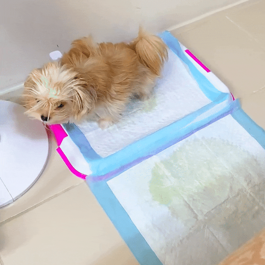 PeeGuard - Puppy pads