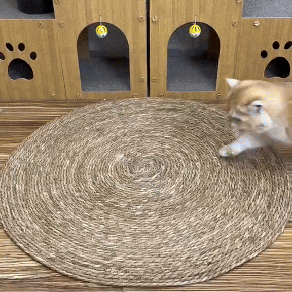 ScratchEase - Katten krabmat