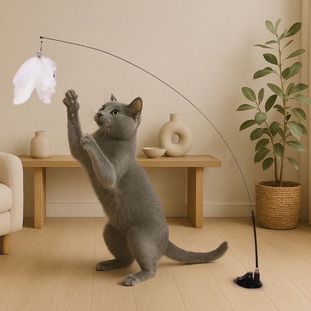CatPlay ™ - Interactief kattenspeeltje