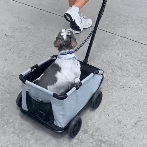 PawCruze - Mini buggy voor huisdieren