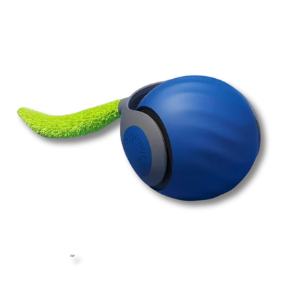 CrazyTail ™ - Interactieve kattenbal