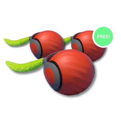 CrazyTail ™ - Interactieve kattenbal