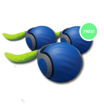 CrazyTail ™ - Interactieve kattenbal