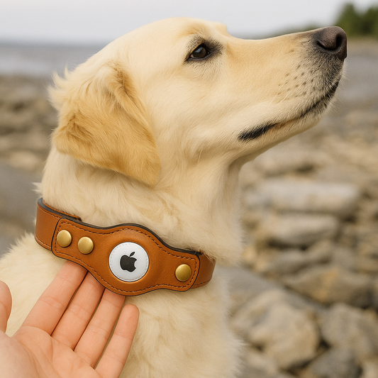 TrackPaws ™ - AirTag hondenhalsband