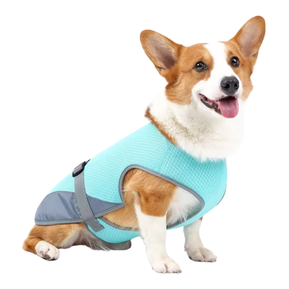 FrostVest - Honden koelvest