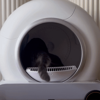 PawHaven – Zelfreinigende kattenbak