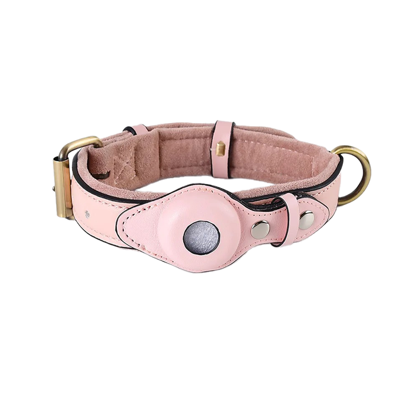 TrackPaws ™ - AirTag hondenhalsband