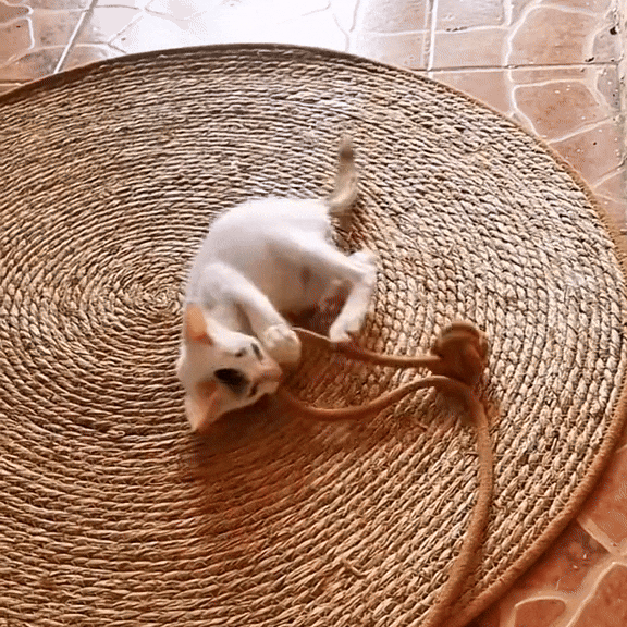 ScratchEase - Katten krabmat