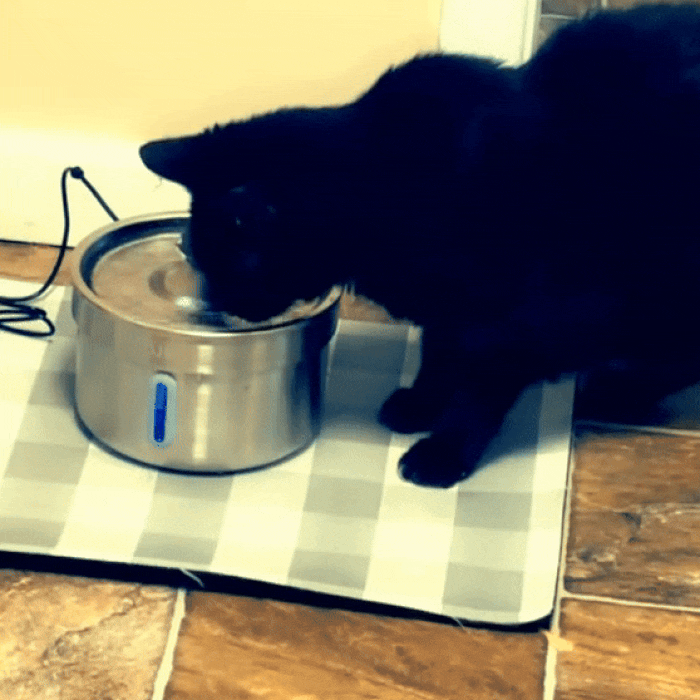 Roestvrijstalen drinkfontein voor katten – 3,2L stil stromend water met filter