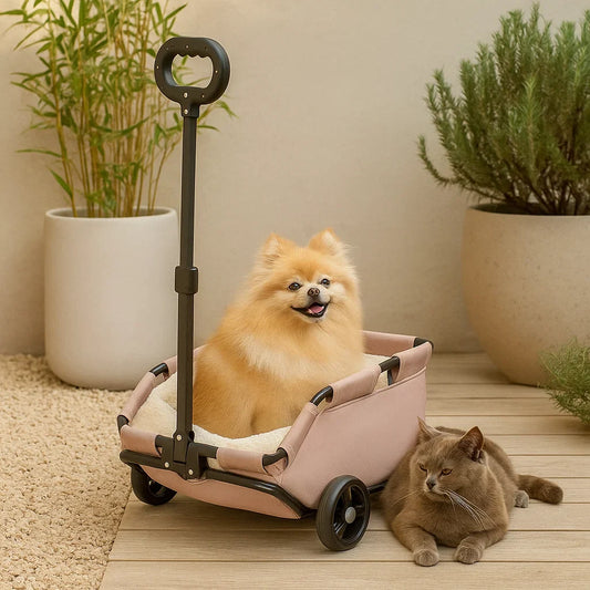 PawCruze - Mini buggy voor huisdieren