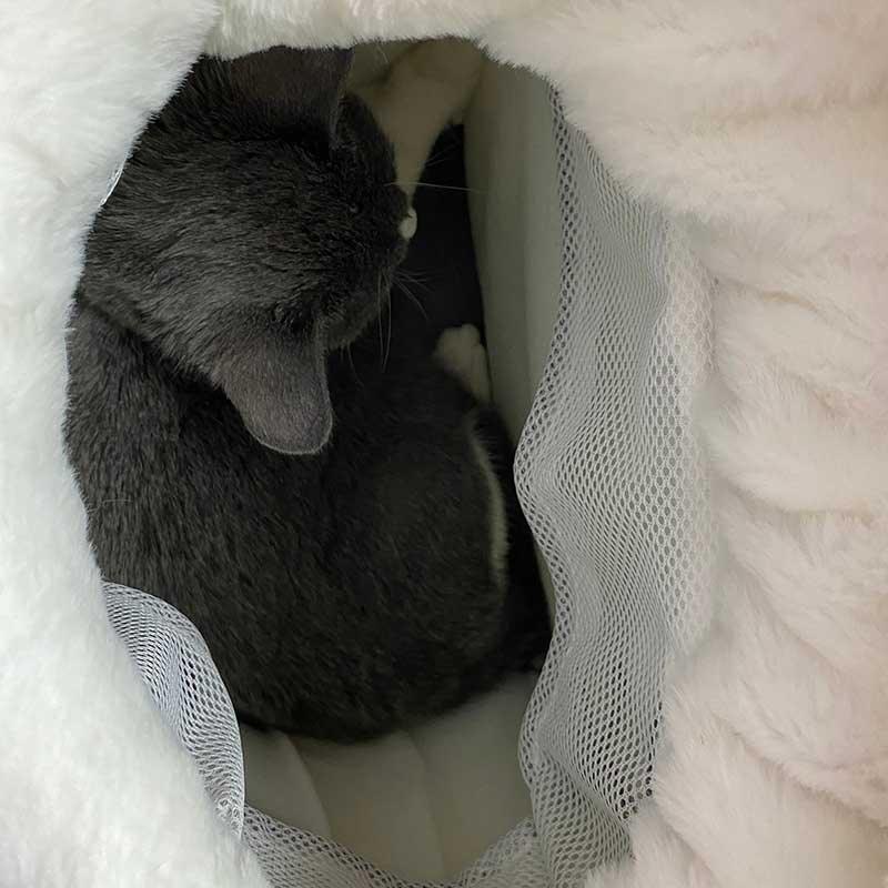 Cat Carrier Front Pack Warm Bag 4 Color Carrying Pouch Backpack