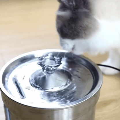 Roestvrijstalen drinkfontein voor katten – 3,2L stil stromend water met filter
