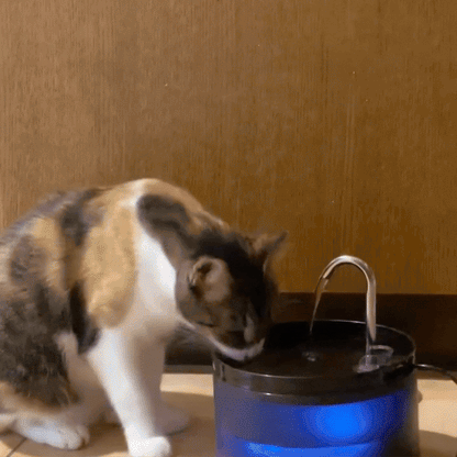 PuriFlow - Drinkfontein voor katten