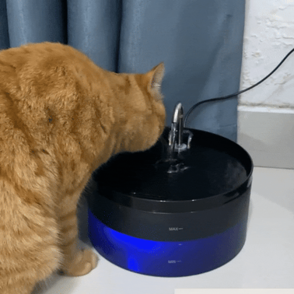 PuriFlow - Drinkfontein voor katten