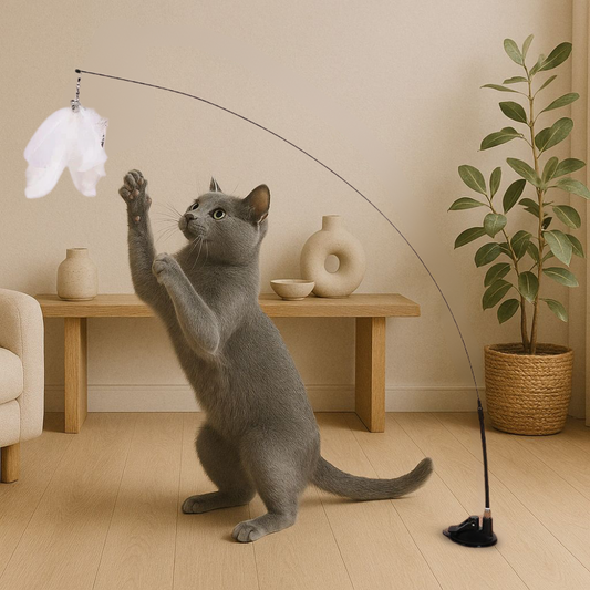 CatPlay ™ - Interactief kattenspeeltje