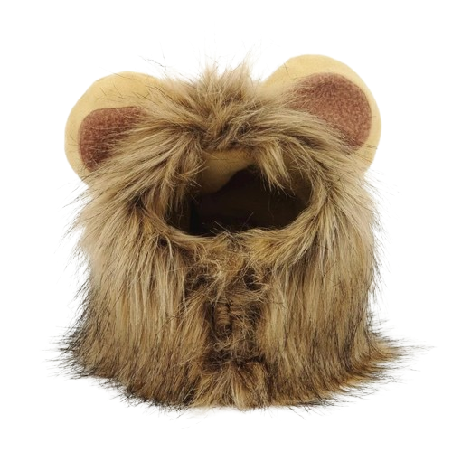 LionPaws ™ - Kattenkostuum