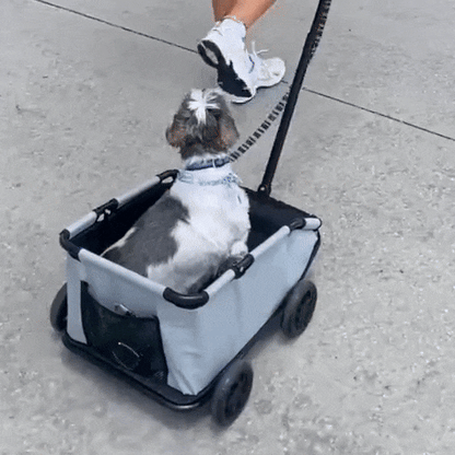 PawCruze - Mini buggy voor huisdieren