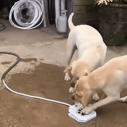 PawSplash - Honden waterfontein