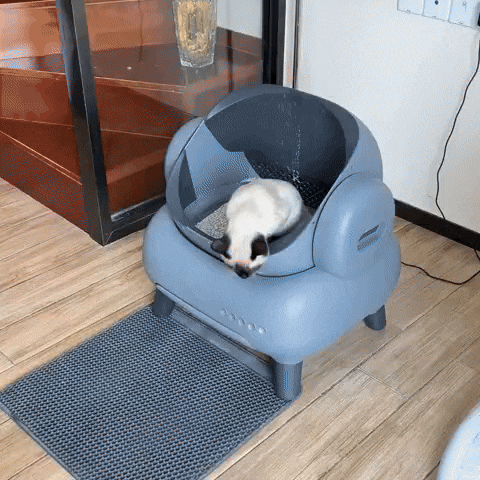 MeowMatic Litter Robot 4 – Automatische Kattenbak met Geurverwijdering en Appfunctie