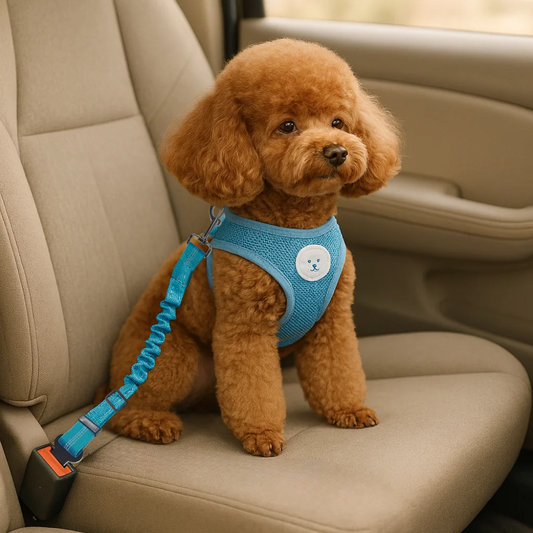 WoofBelt ™ - Hondengordel auto